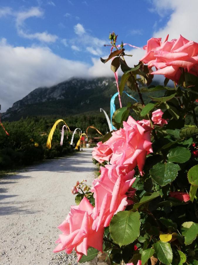 Hotel Restaurant Rose Des Pyrenees بيلفيان إي كيفيِراك المظهر الخارجي الصورة